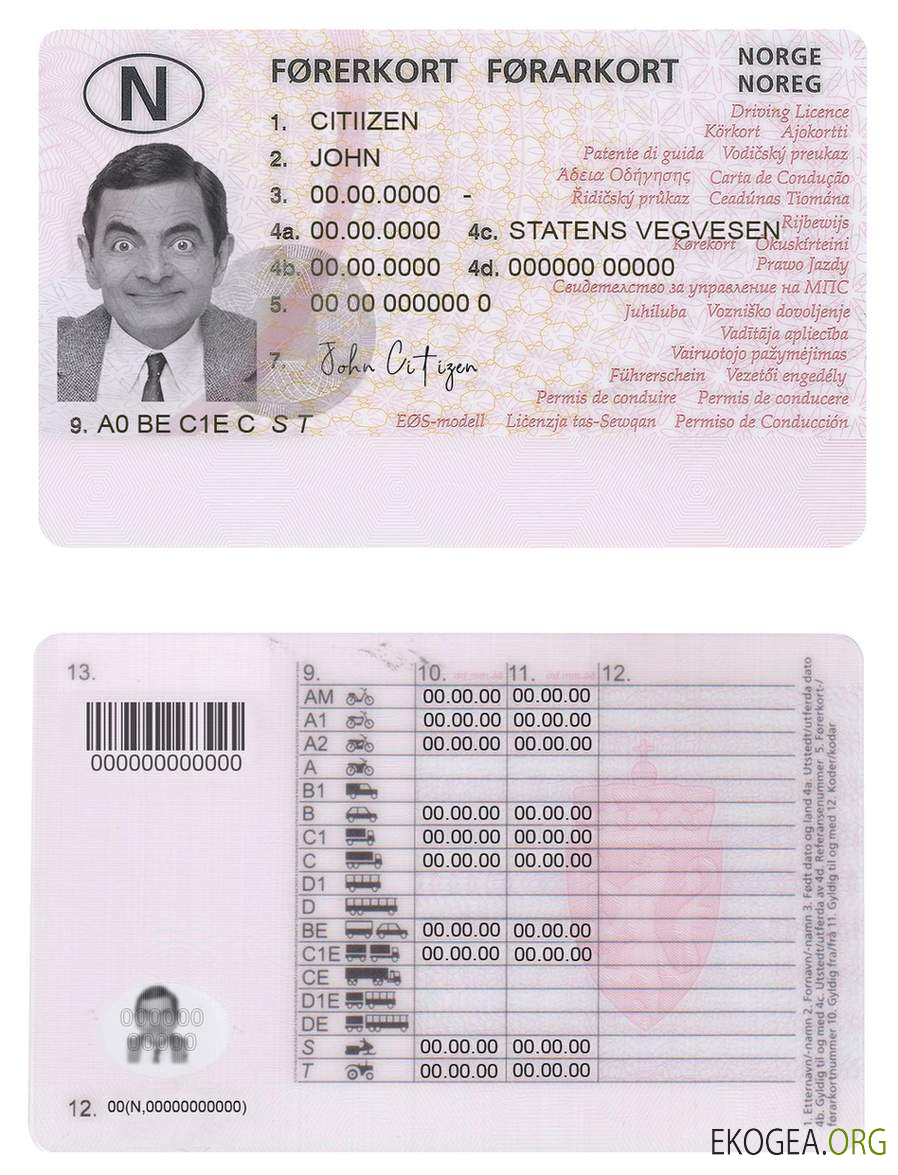 Norway driving license template,fully editable(2013present)